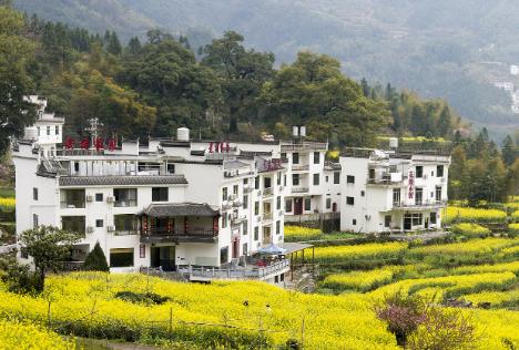 《鄉村振興促進法》6月1日起施行